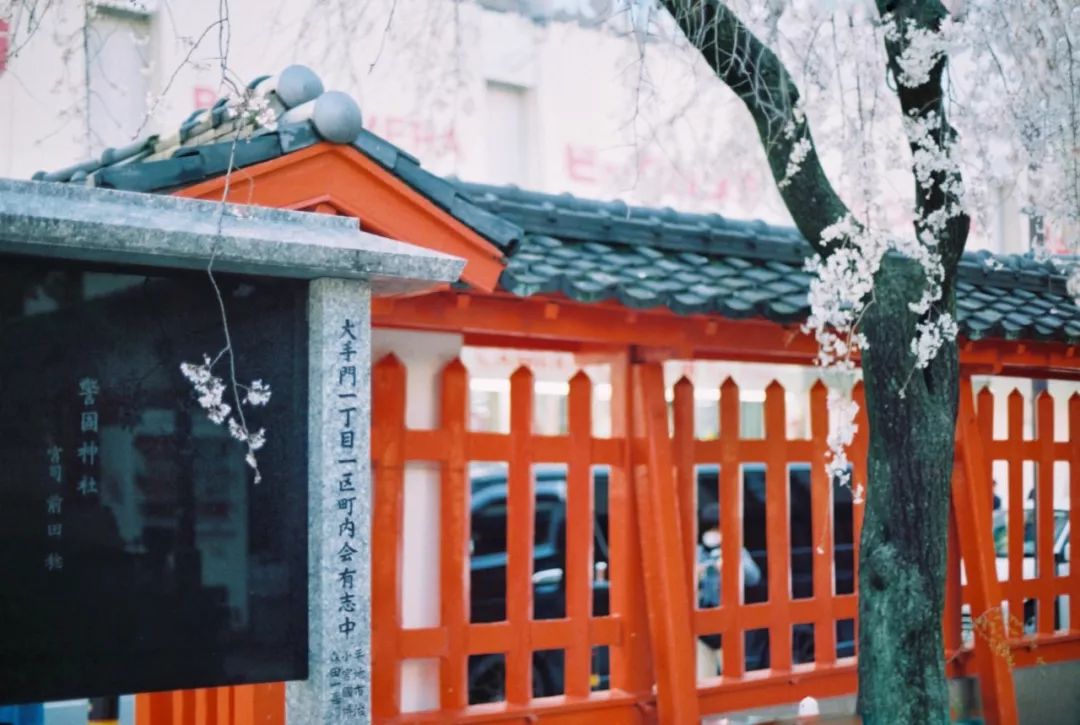 日本九州的宝藏,日本挖出大宝藏