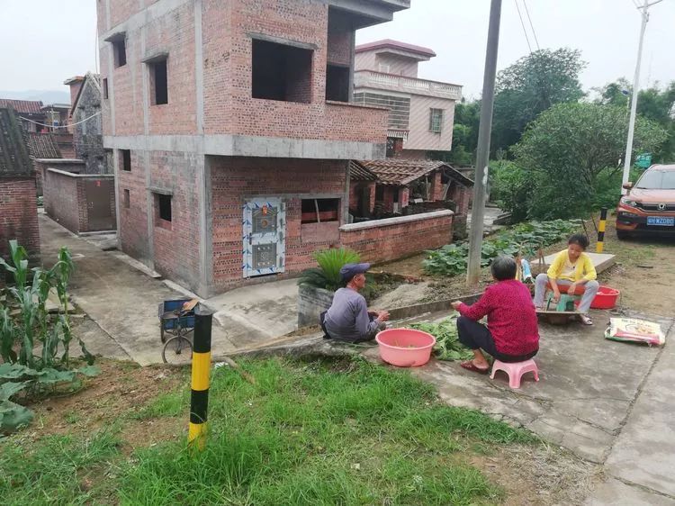 肇庆砚洲岛游记,肇庆自驾一日游砚洲岛