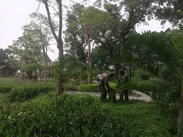 肇庆砚洲岛游记,肇庆自驾一日游砚洲岛