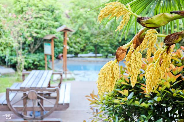 大别山深处自驾,安庆旅游自驾游记录