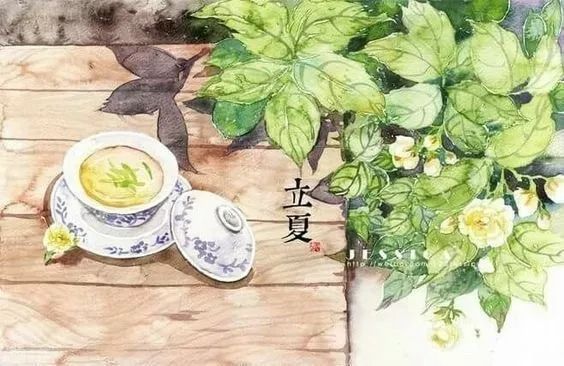 今日立夏愿你轻松一夏,今日立夏愿一切美好