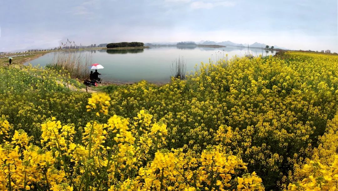 杭州余杭绿道最新规划,余杭绿道路线