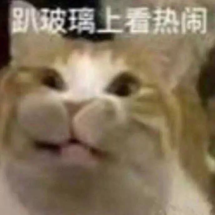 这个捧红撒贝宁的国家队节目又来教做人了