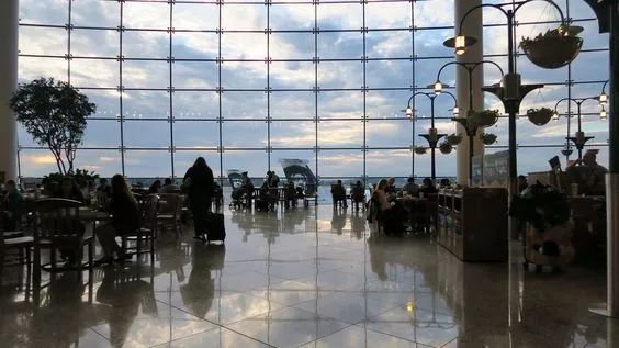 苏明哲们的美国生活,苏明哲们的美利坚