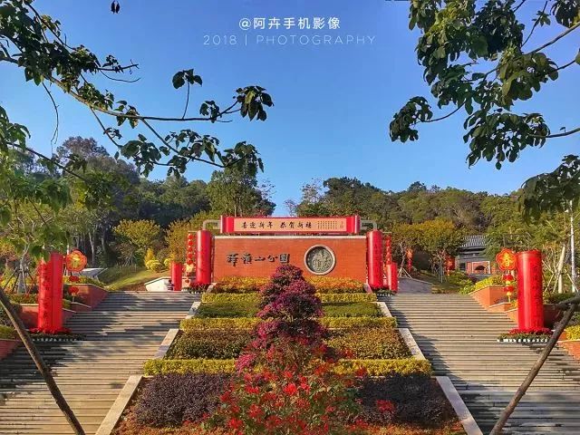 厦门夜景最美公园排名前十的地方,厦门公园美景视频