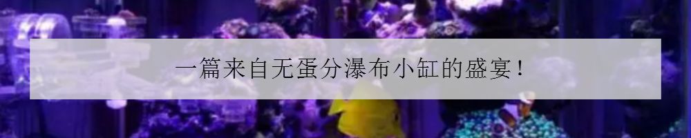 海马入缸几天喂食,海马怎么培植