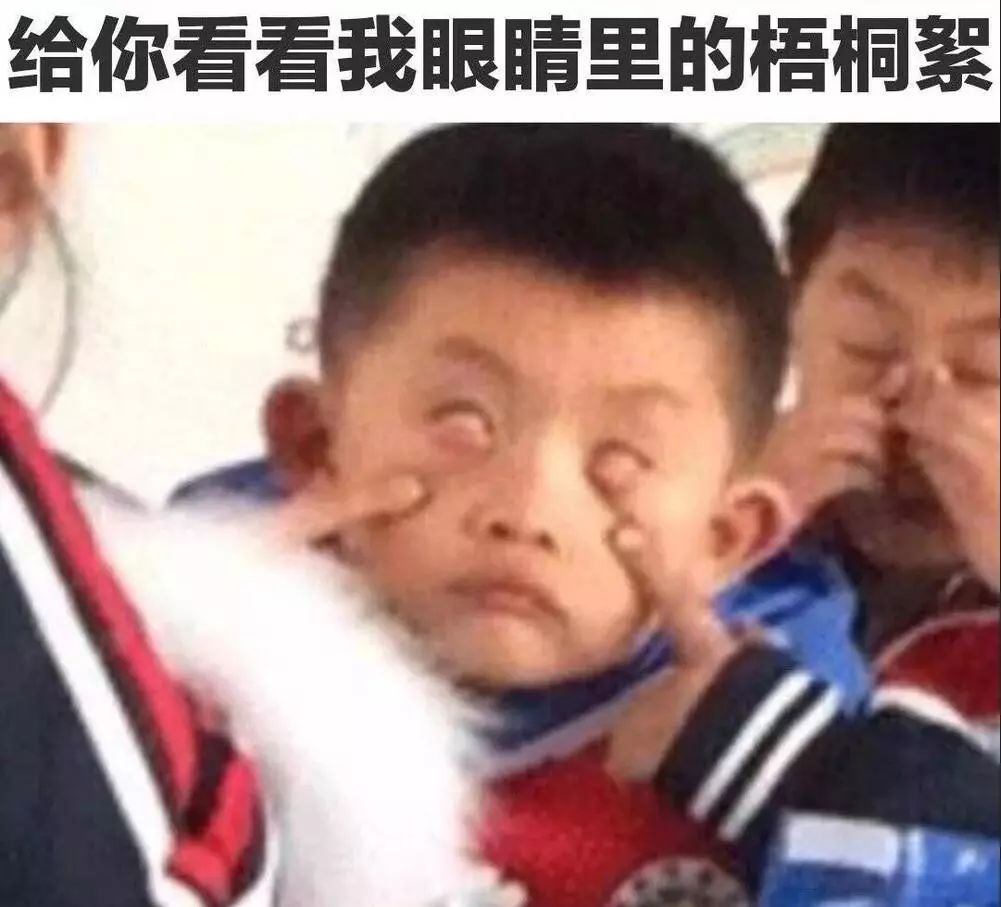 最近过半中国人都在噗噗噗呸呸，一开门，心里飘过一万头羊驼…