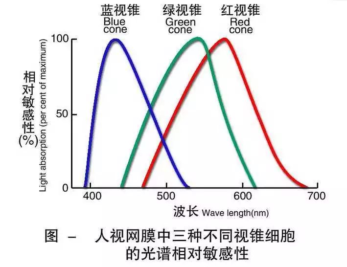 颜色有争议的鞋子是灰绿还是粉白,这个鞋子到底是灰绿还是粉白