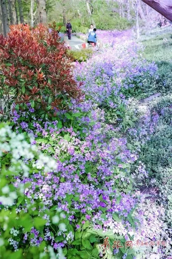 闈掑矝缁濈編鐎戝竷,闈掑矝绱壊鐎戝竷