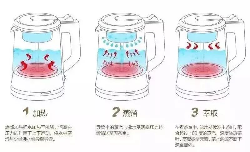 能冰鲜的泡茶壶？！夏天有了它，冰饮料、热养生茶全搞定了！
