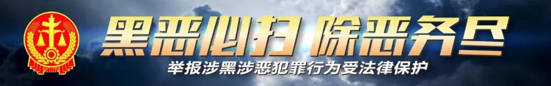 思域买车险,平南思域