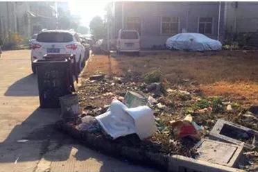 小菜地变成小花园,从小菜园到经开区怎么走