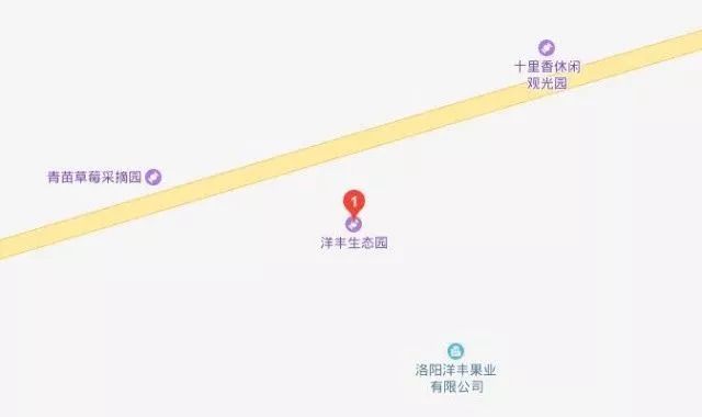 洛阳樱桃桑葚采摘最佳地点,洛阳樱桃桑葚采摘园