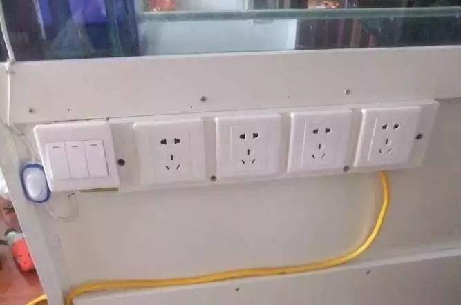 1.5米生态缸的用料及造景,1.2米的缸适合做什么缸