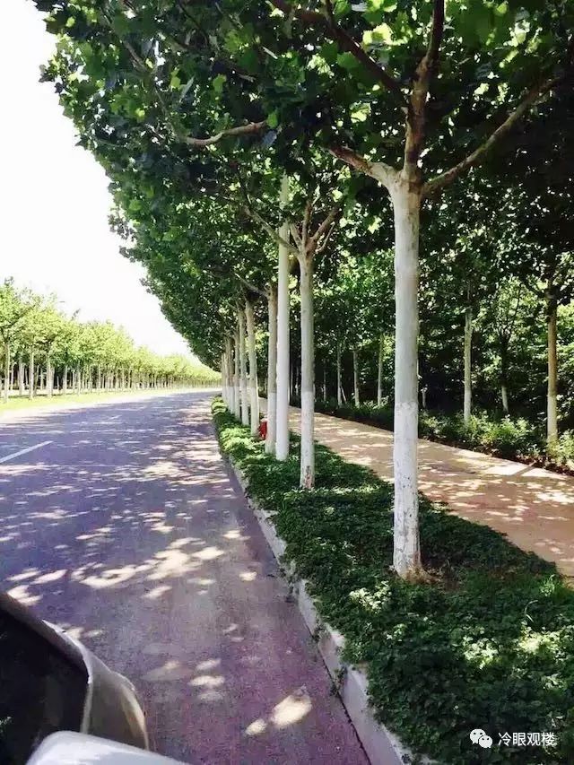 天津海教园买房利弊,不吹不黑的几句大实话