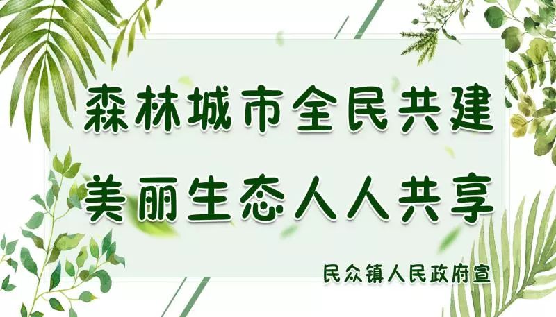 这十个常见的谣言你识破了吗,这10条谣言坑了多少年
