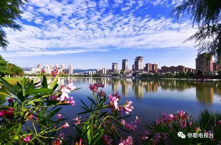 弥勒美食必吃推荐,云南弥勒美食野生菌