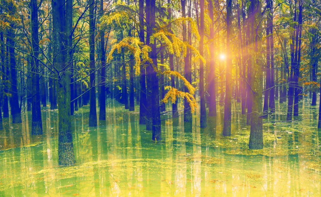 中国露营看星空最美的地方,国内最美星空露营地