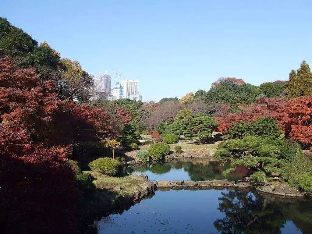 日本顶级灭蚊神器,日本变态灭蚊神器