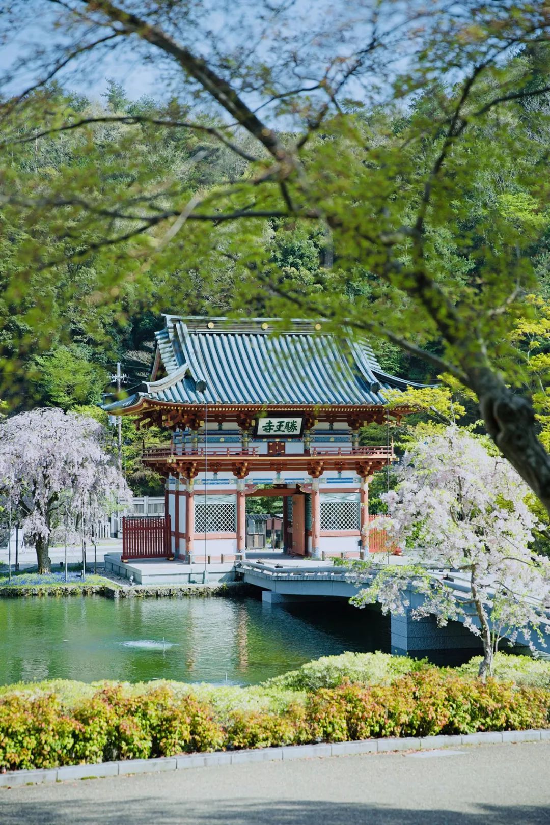 大阪｜你错过了这座带仙气儿的寺庙，以及跳蚤市场和潮牌一条街…