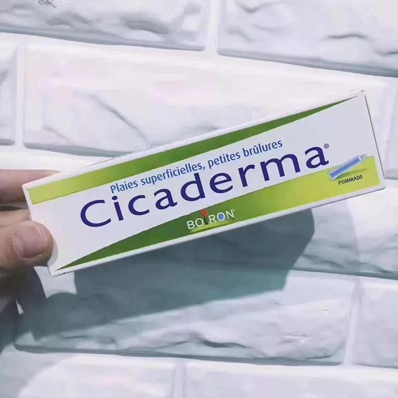 嗡嗡嗡，你真烦。