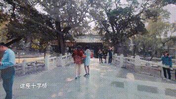 太原银杏林网红打卡地,太原网红打卡地景点