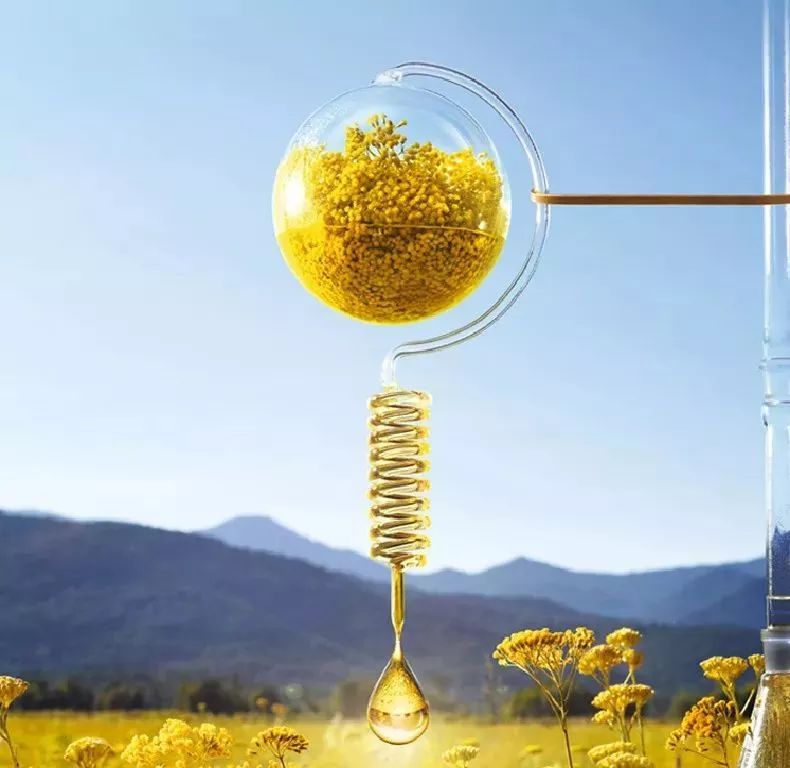 Top10|突袭妈妈们的化妆台，我居然被种草了！