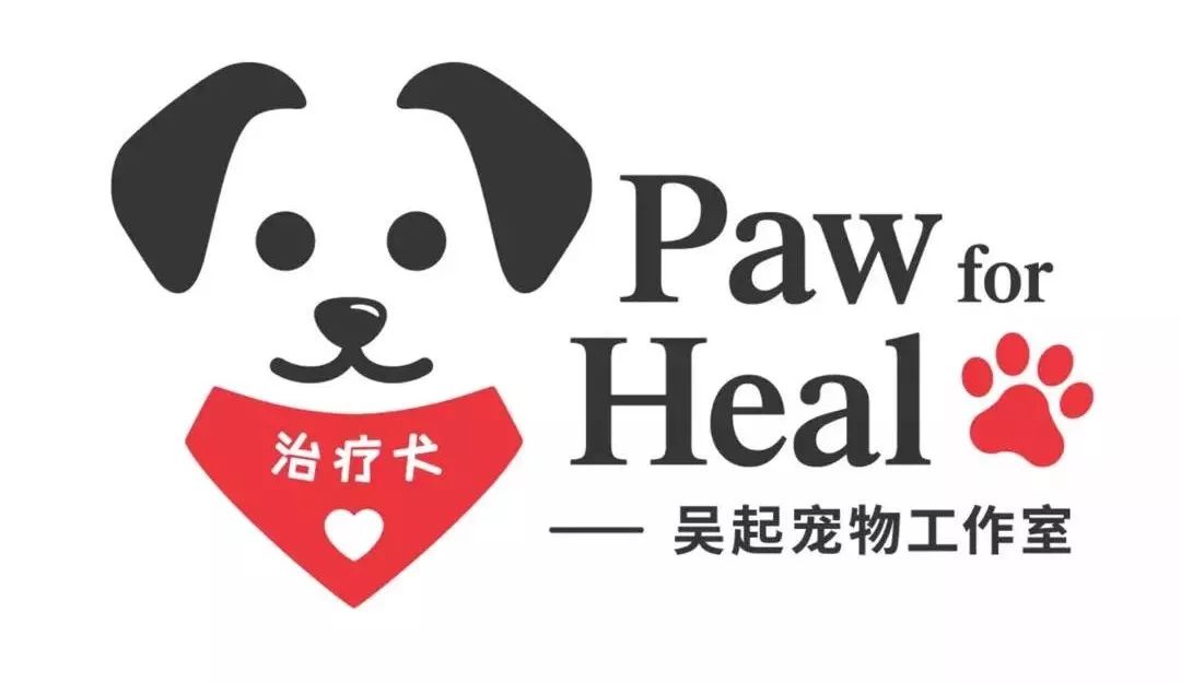 用生命影响生命朗诵央视,用生命影响生命手语朗诵