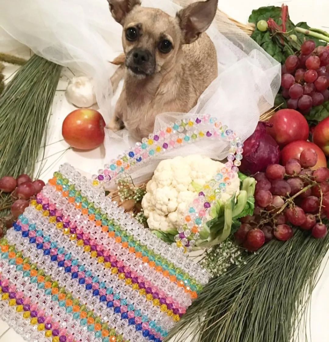 适合夏天背的小众包包,夏天包包推荐小众百搭