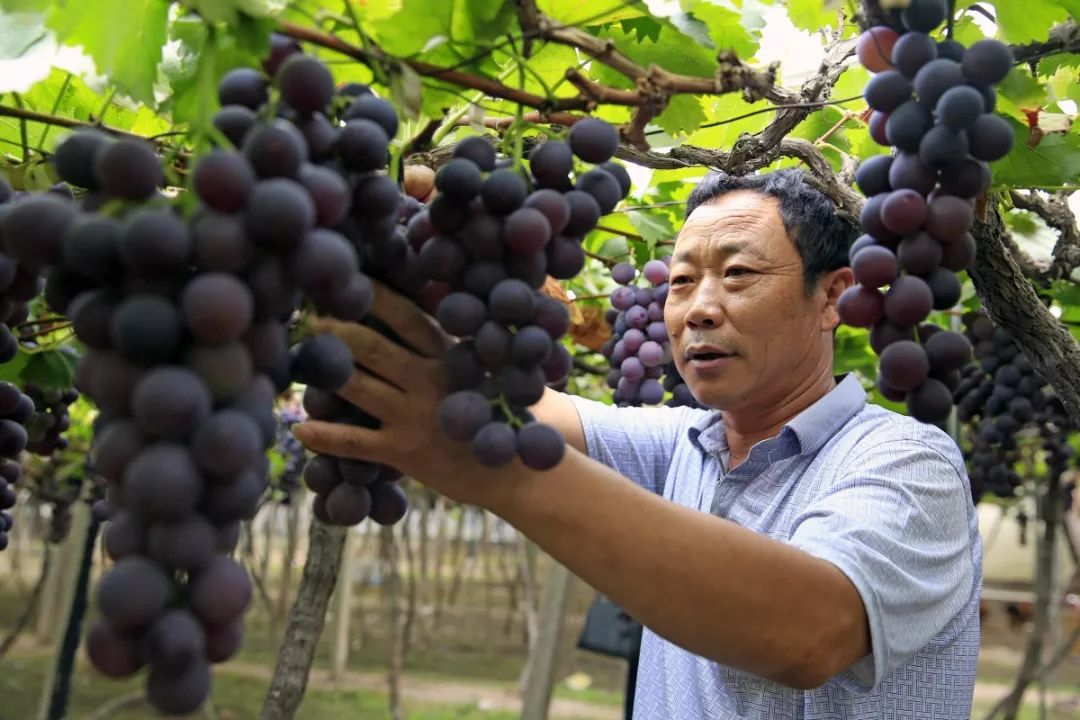 新闻联播等央视栏目，一年聚焦西昌N次，西昌狂谢“央妈”的爱！