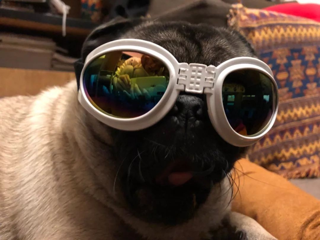 把我设置成不可见了是什么心态,为什么有人把朋友圈设成三天可见