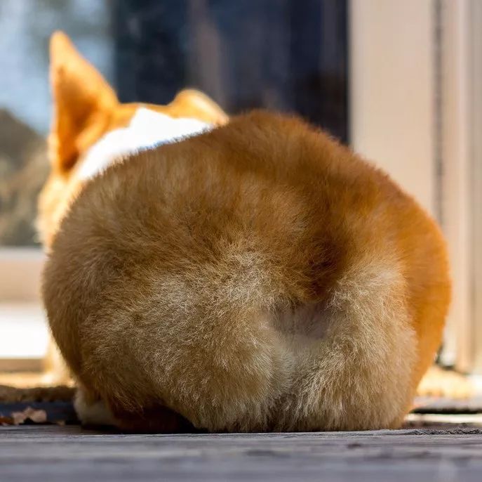 为什么有人把朋友圈设成三天可见,微信怎样把一个人设成三天可见