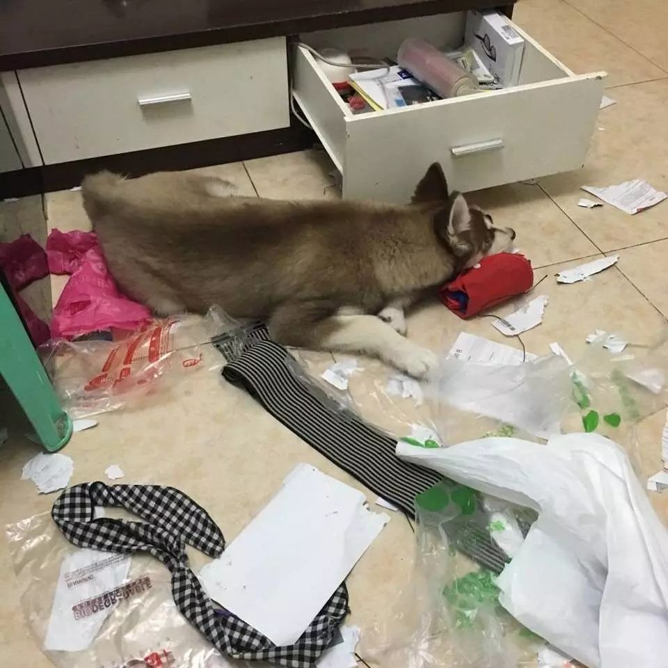 为什么有人把朋友圈设成三天可见,微信怎样把一个人设成三天可见