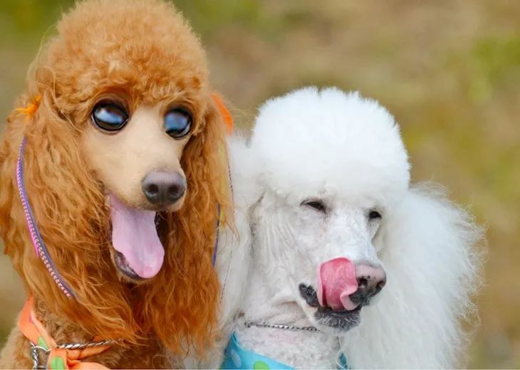 朋友圈设成三天可见代表着什么,有时候把朋友圈设成三天可见