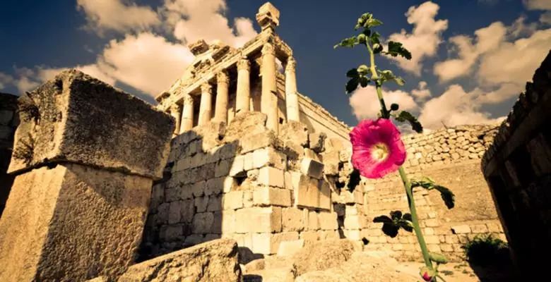 中国旅游护照,中国护照可以意大利旅游吗