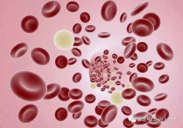 疫苗诱导免疫性血小板减少症,原发免疫性血小板减少的病因