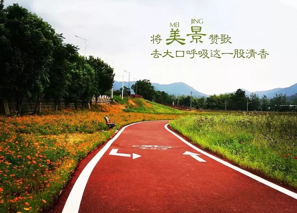 绍兴徒步乡村,周日绍兴徒步旅游攻略最新