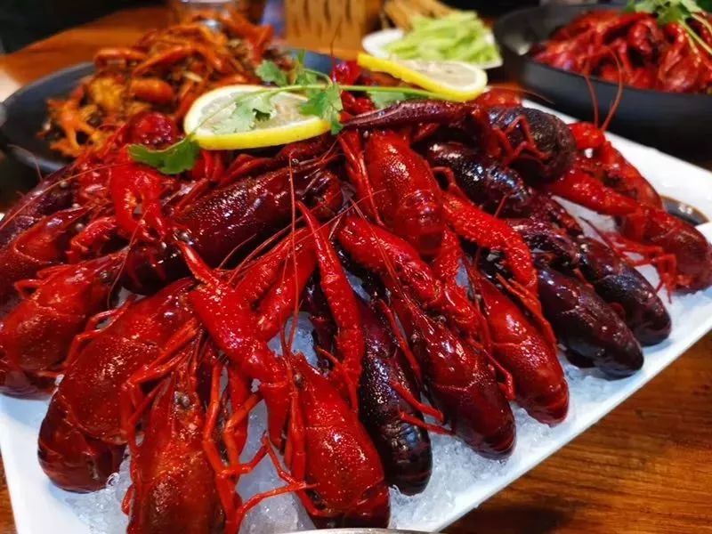 2020大河生活卡畅游版,大河生活卡