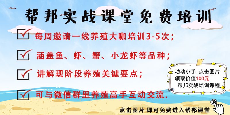 养螃蟹为什么要控青苔,螃蟹养殖用杀青苔药