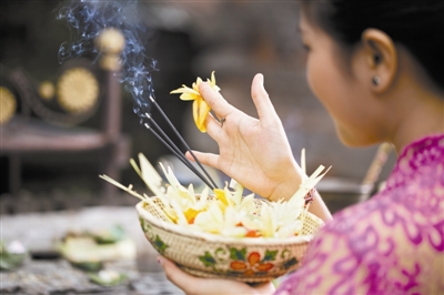 沉香精油守卫家人健康的万香之王,古沉香植物