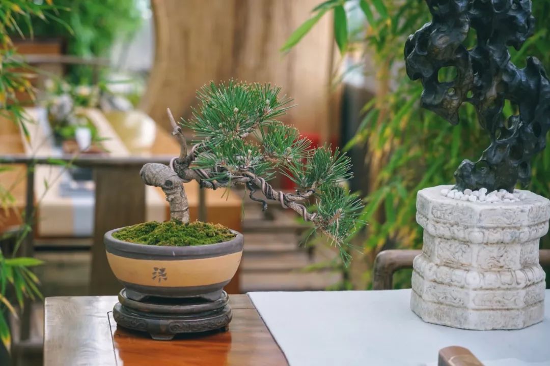 上海最高楼云端上的风景,在上海最高的楼俯瞰风景