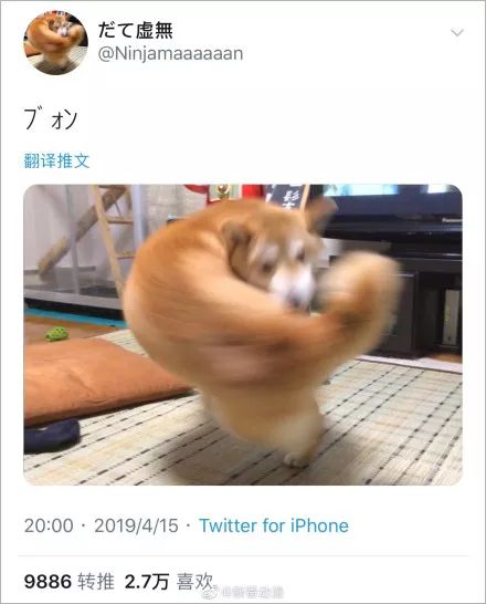 日本“手工鬼才”捏的小动物模型，比表情包还沙雕