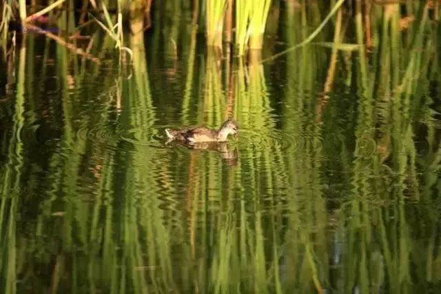 玩转大连森林公园,逛遍大连森林公园