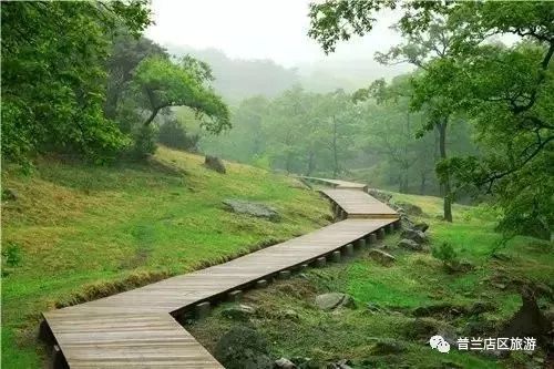 玩转大连森林公园,逛遍大连森林公园