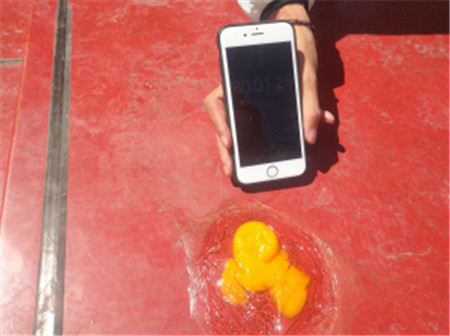 昆明有多热?单车座椅超75°C生鸡蛋30分钟后熟了