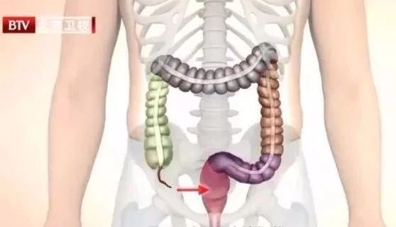 细菌病毒感染导致癌症,20多种癌症