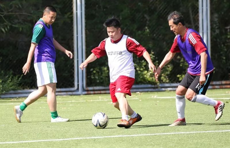 北京101中著名校友,北京101中校友