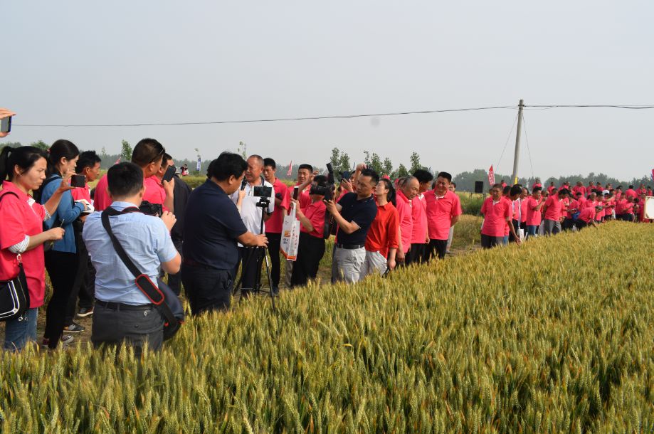 靠什么打动农户的心？三宁“取代进口”再战南阳！