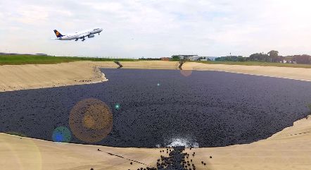 9600万个塑料球被扔进水库，竟是为了给水解毒？！