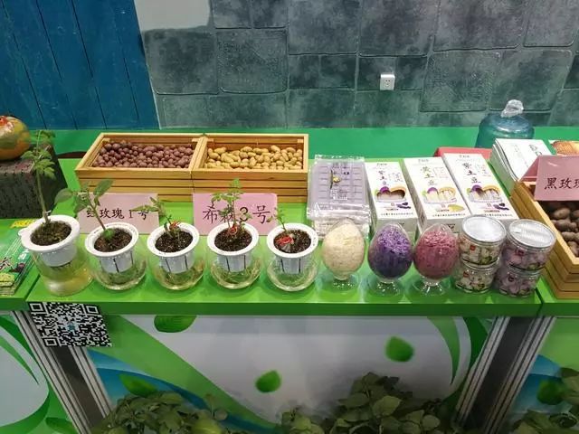 北京科技周开幕视频,北京科技周中车文化展